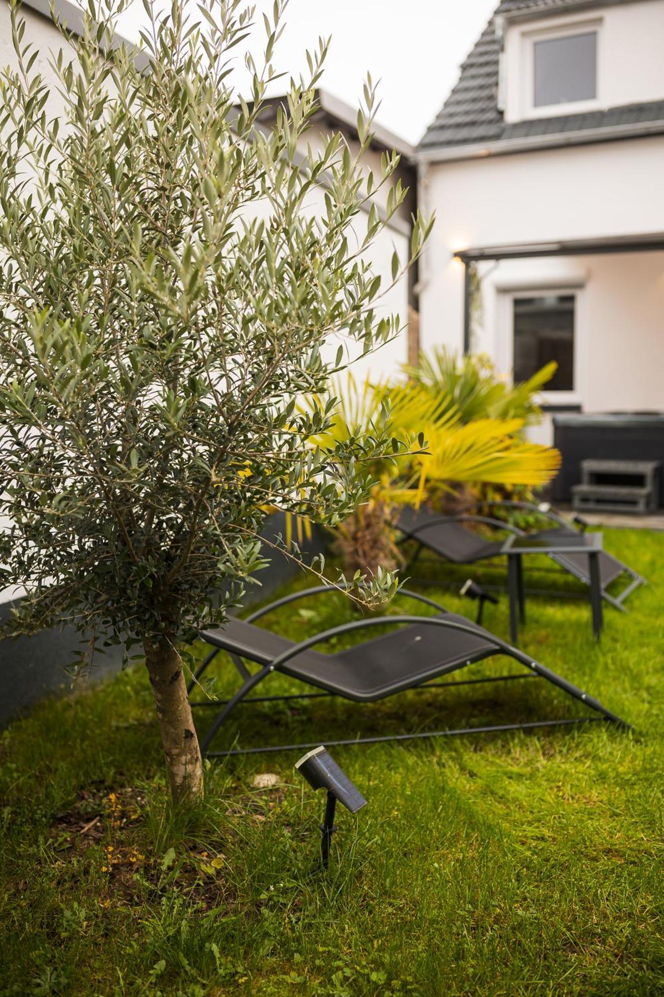 Modernhouse Ko26 Apartment Koblenz (Rhineland-Palatinate)